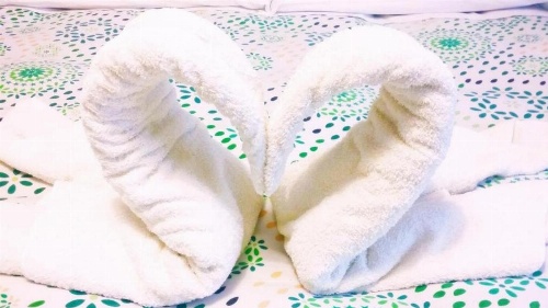 Vatican Home image 11