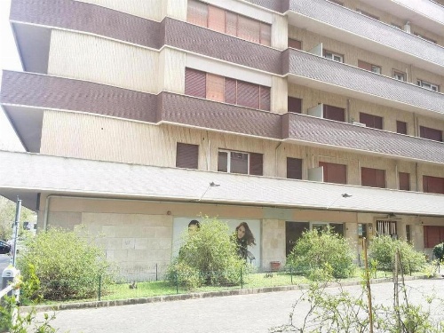 Vatican Home image 9